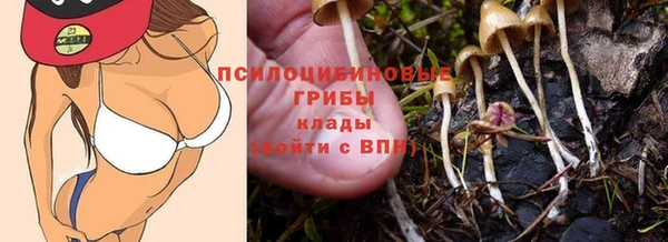 хмурый Верхний Тагил